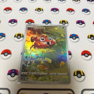 パラス AR 207/172 1枚