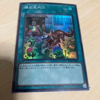 隣の芝刈り スーパーレア JP041