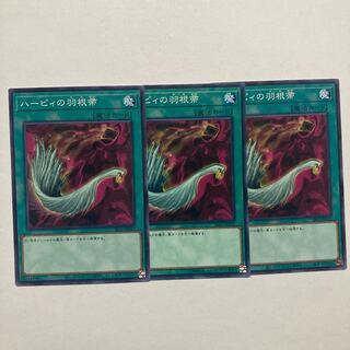 ハーピィの羽根帚 ノーマル JP032