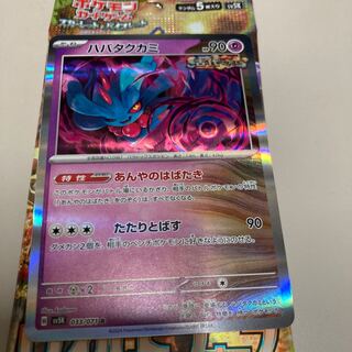 Habatakkami R 033/071