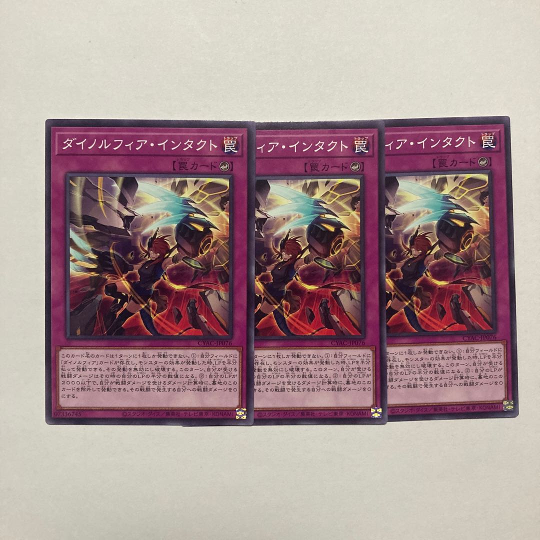 Dynorphia Intact Normal JP076