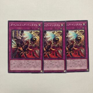 Dynorphia Intact Normal JP076