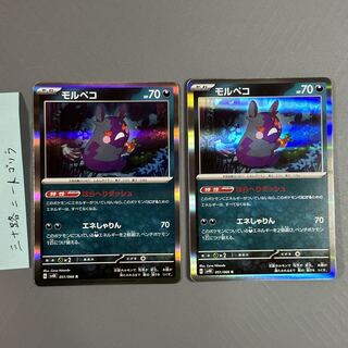 モルペコ R 051/066