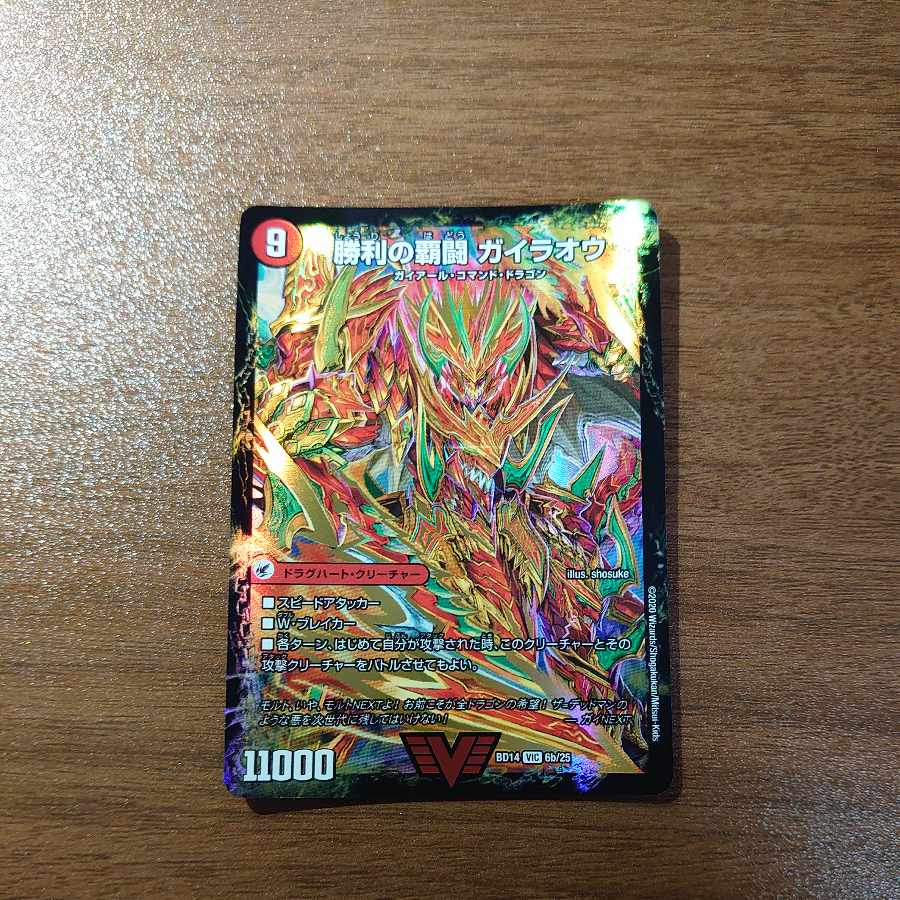 Ha Fighting Shoguryu Sword Gaiowu Burn|Ha Fighting Gaiowu VIC 6a/25|6b/25