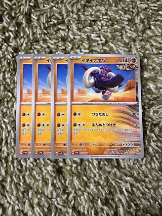 Echinakiva japonica (species of katydid)