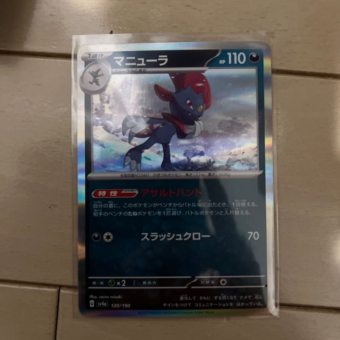 Weavile(R spec) 120/190