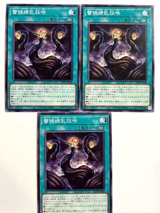 蕾禍繚乱狂咲【ノーマル】JP058