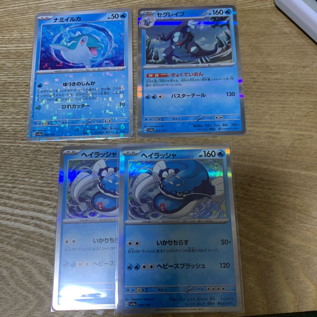 Namibian dolphin Segrave's heirascha