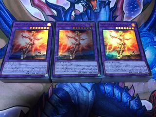 シャドール ストラクチャー 3個セット