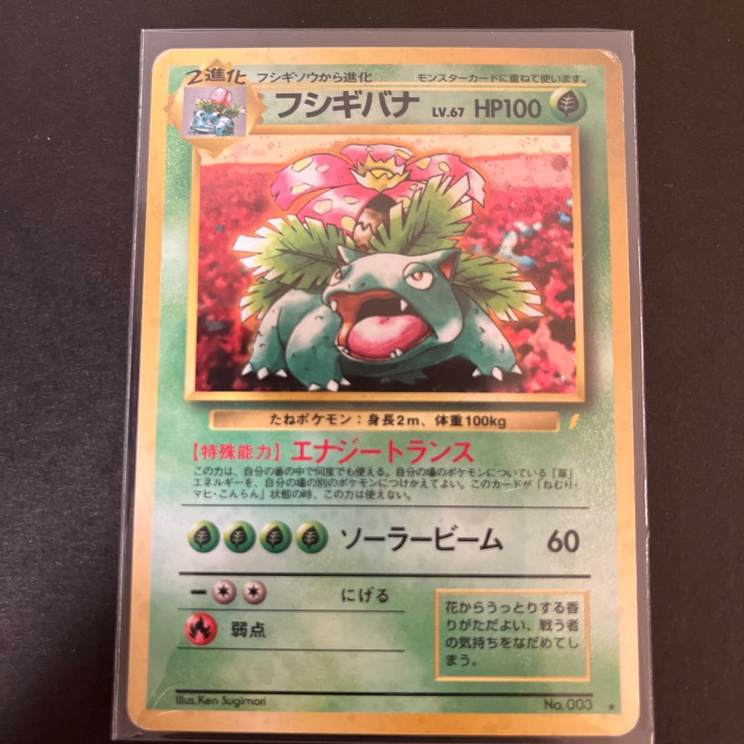 Venusaur Old Back