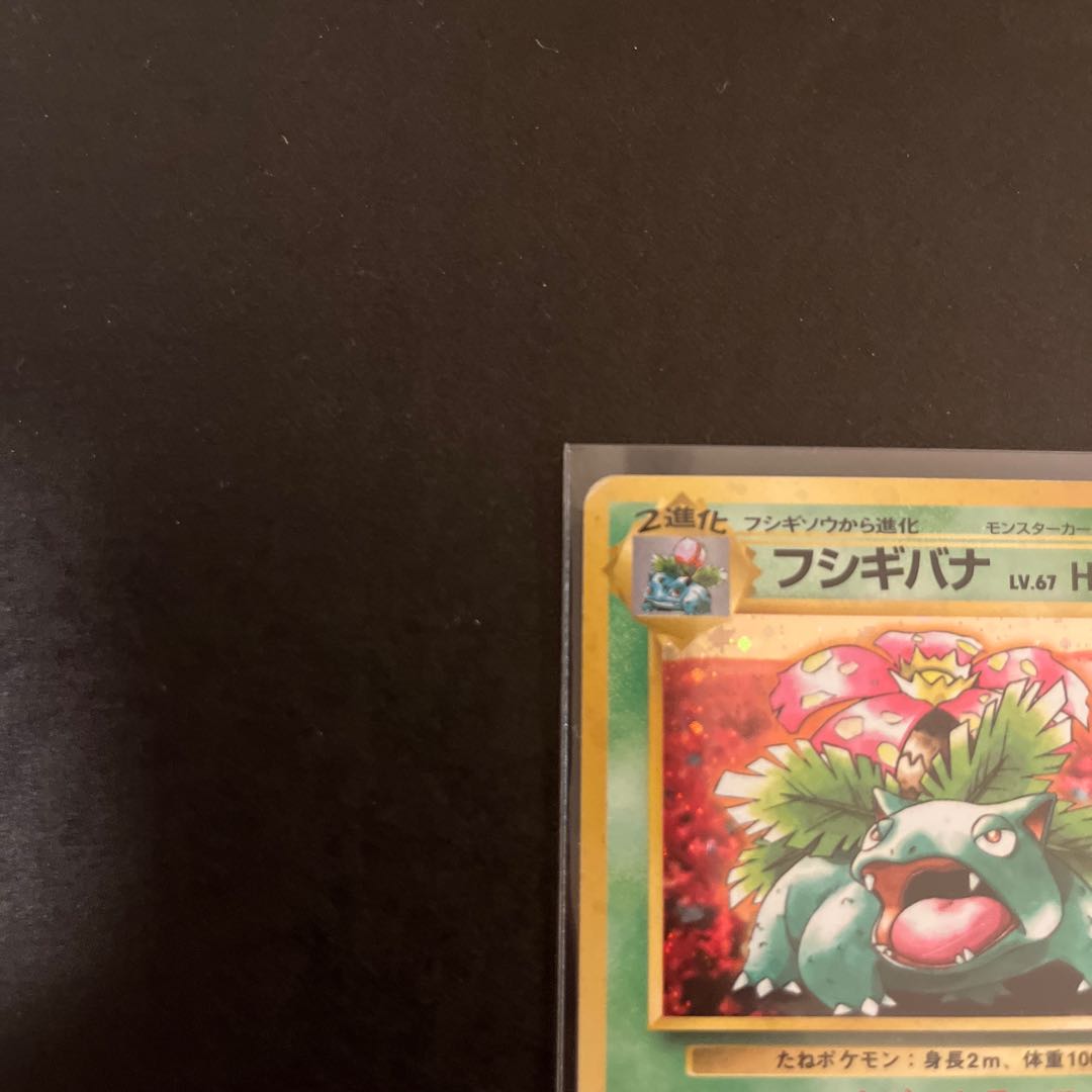 Venusaur Old Back