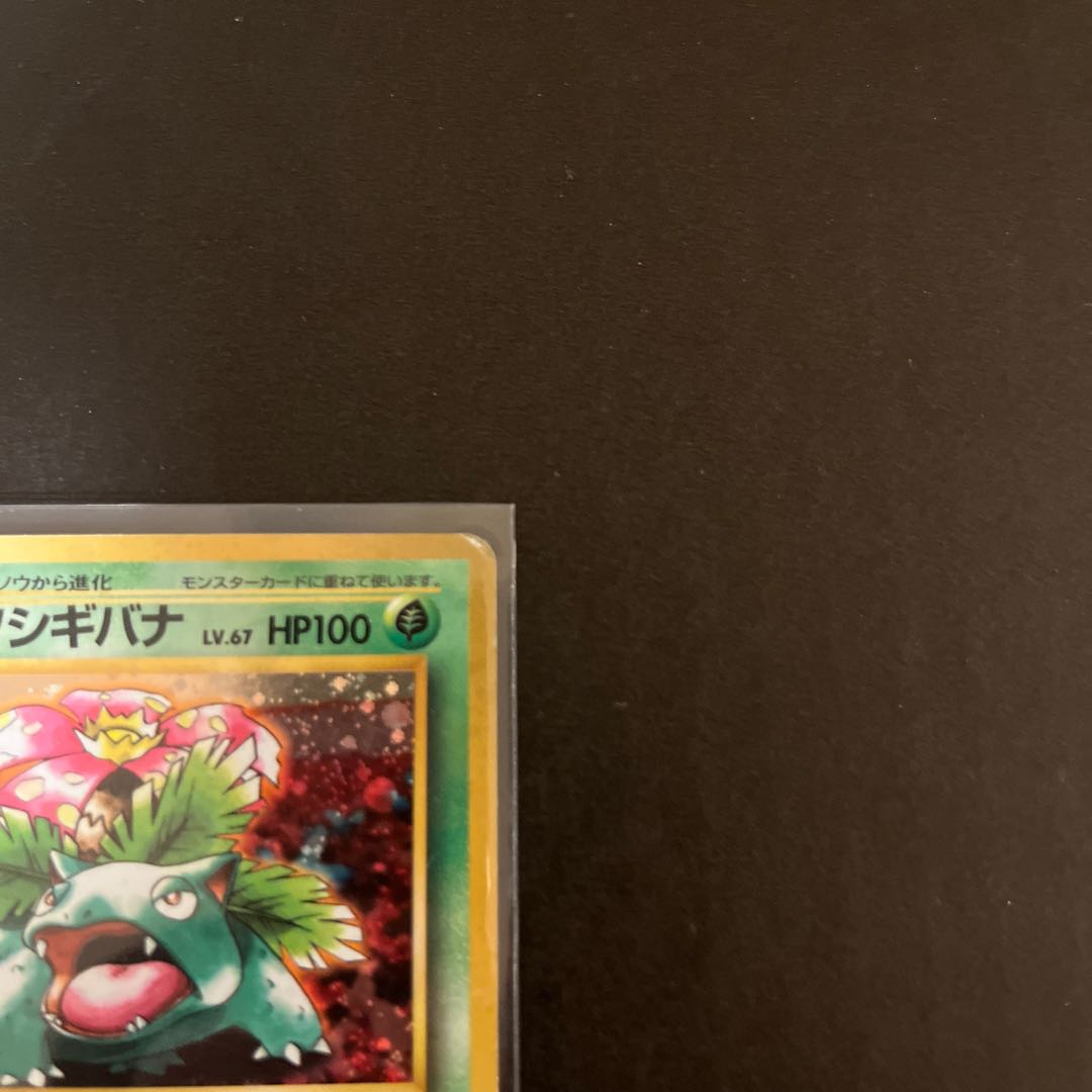 Venusaur Old Back