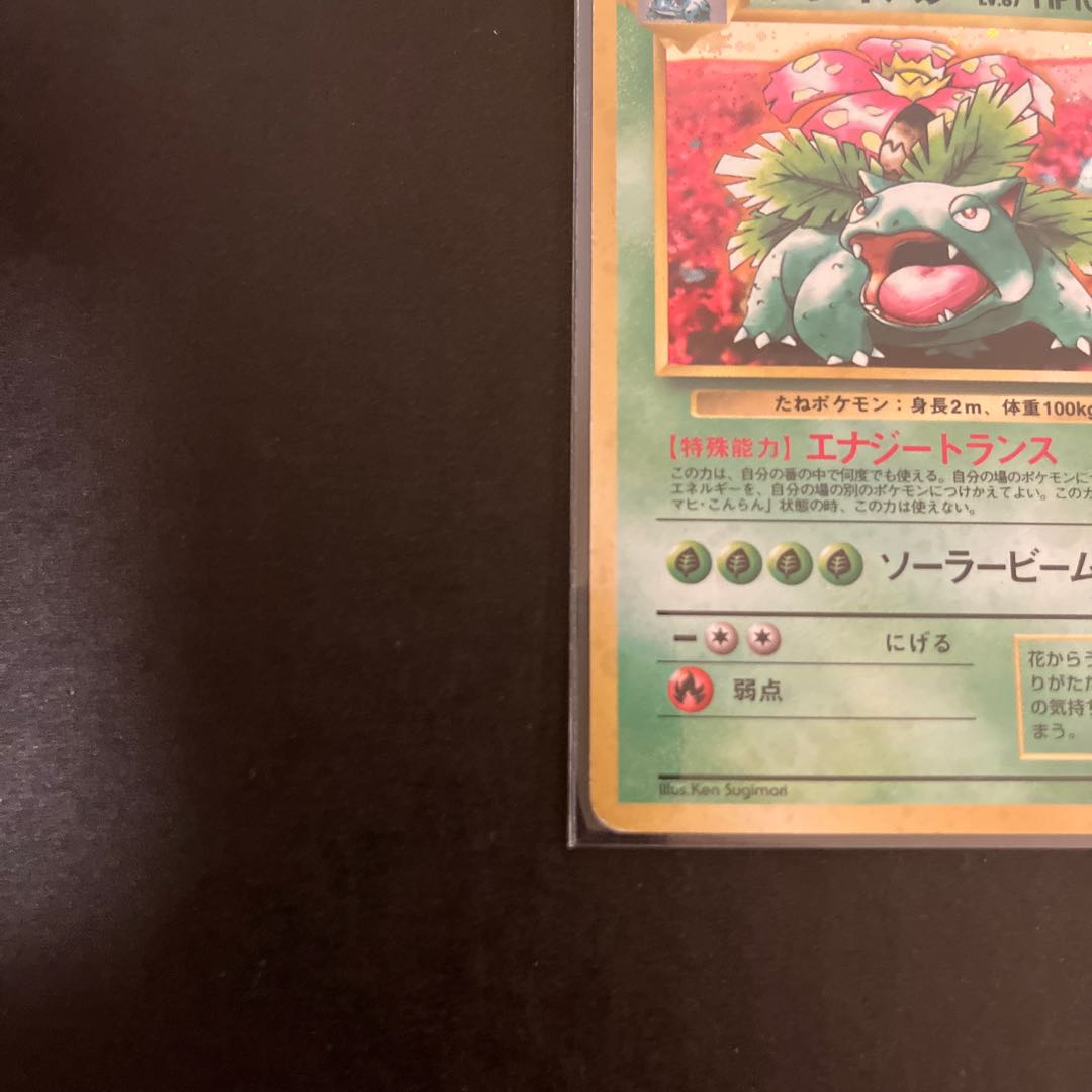 Venusaur Old Back