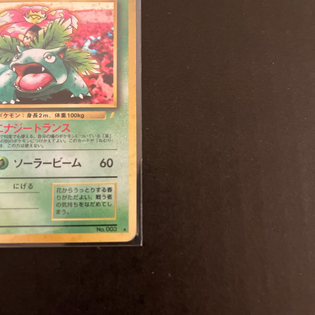 Venusaur Old Back