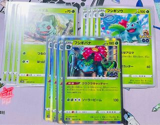 (Exclusive for Mr. Wise) Venusaur R 003/071
