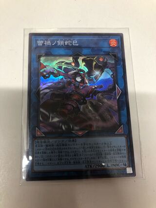 Serpentina nigricans var. japonicus (species of snake)