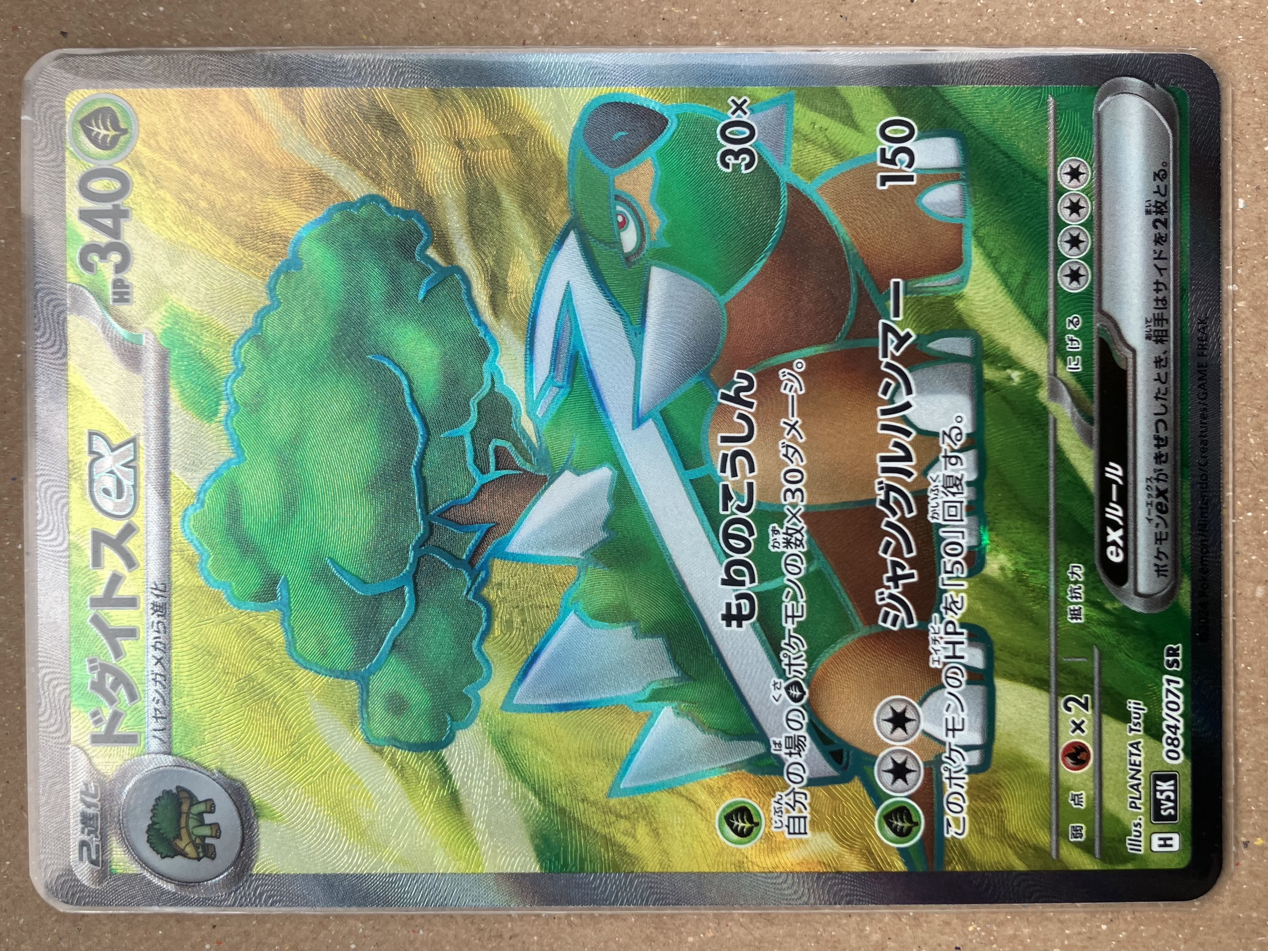 Torterraex SR 084/071