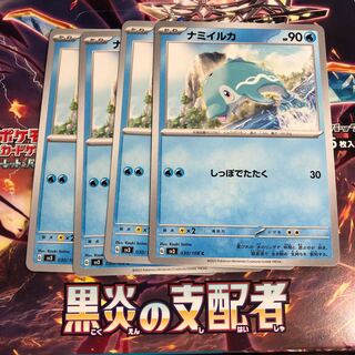 ナミイルカ C 030/108