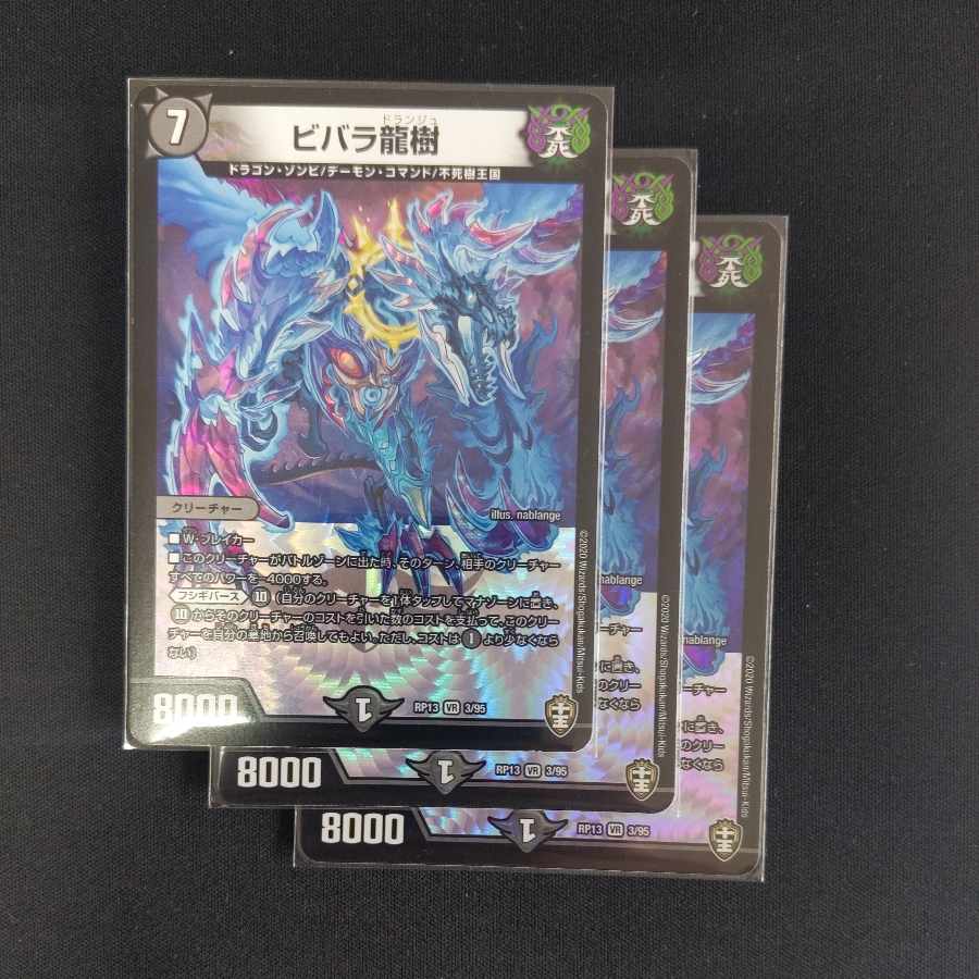 ビバラ龍樹 VR 3/95