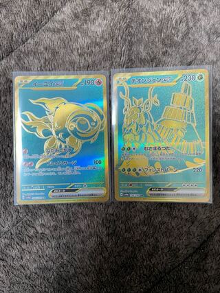 Pokemon Card Chionjen ex Eeyore ex UR