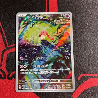 サケブシッポ AR 071/066