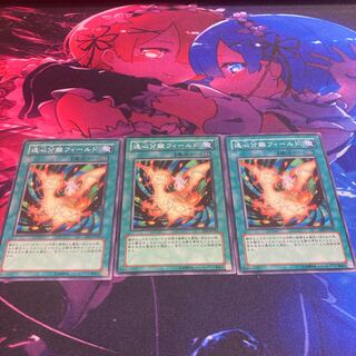 遠心分離フィールド ノーマル