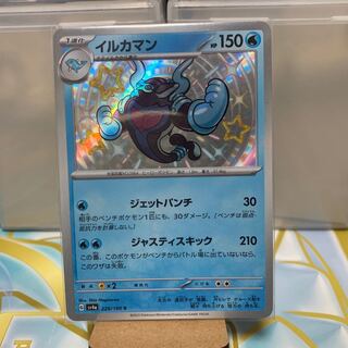 Dolphin Man S 229/190