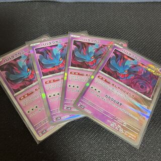 Habatakkami R 033/071