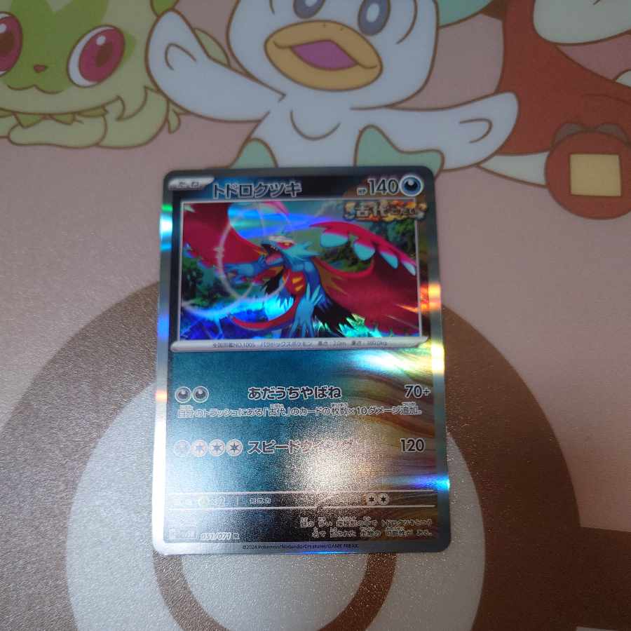 Todorokutsuki R 051/071