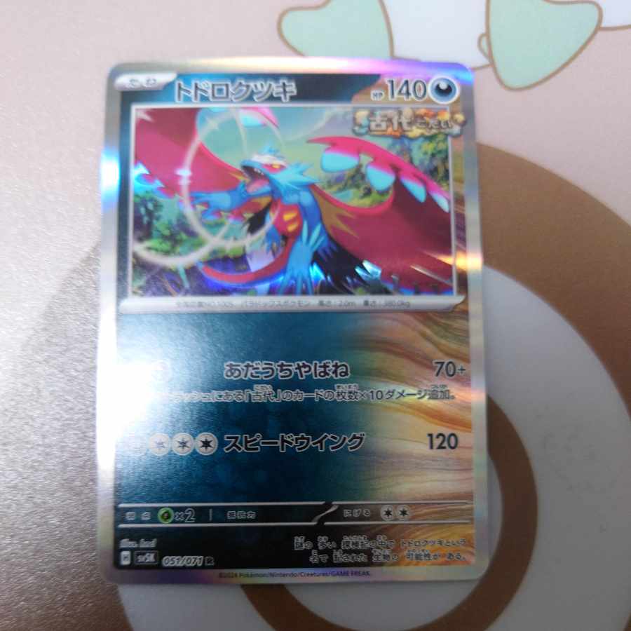 Todorokutsuki R 051/071