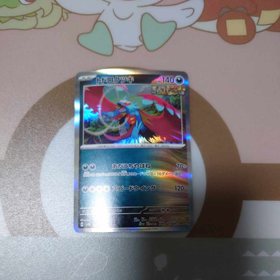 Todorokutsuki R 051/071