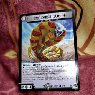 The Holy Chaos of the Ninja Serpent c0br4 R17/74