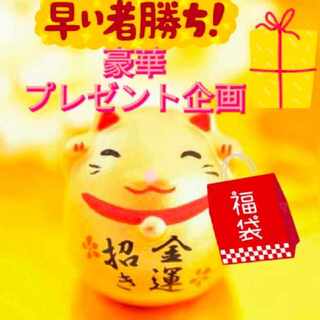 大人気　プレゼント企画　ワクワク福袋　アド確定♪