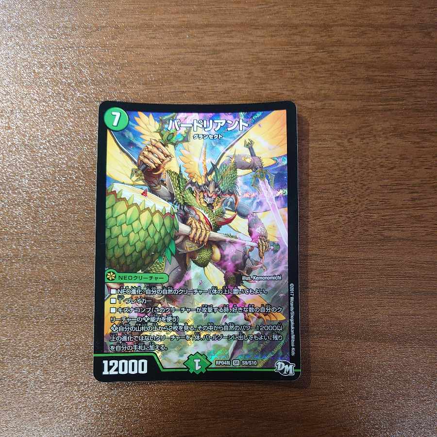 バードリアント SR S9/S10 1枚