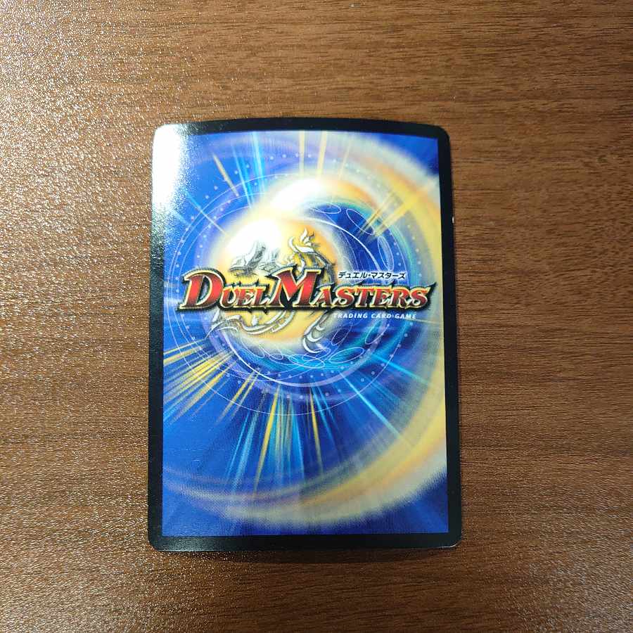 バードリアント SR S9/S10 1枚