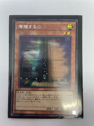 Maxx "C" Secret Rare JP005