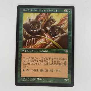 MTG Wooktubby Wildcat Japanese Fiend Reflection #2