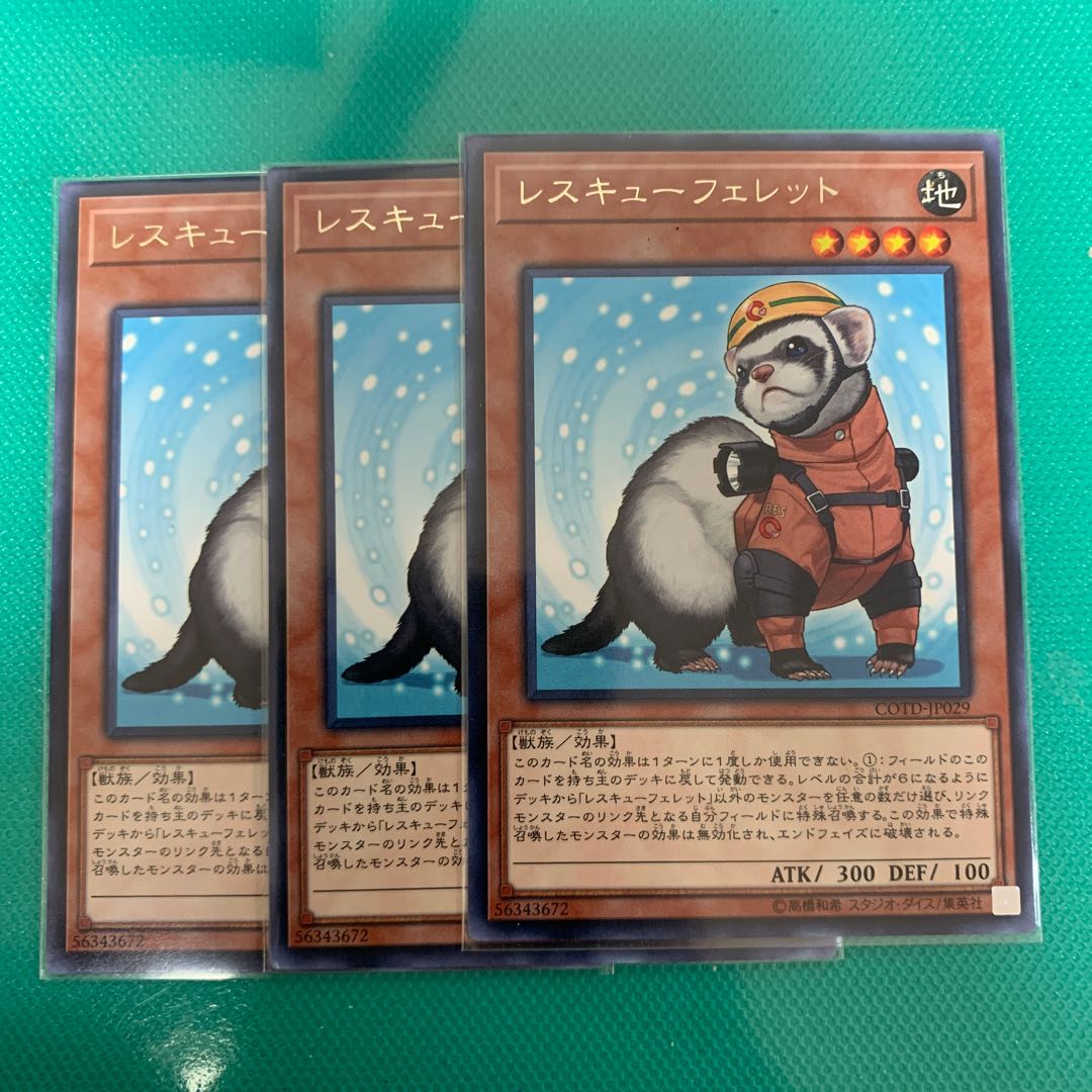 レスキューフェレット R