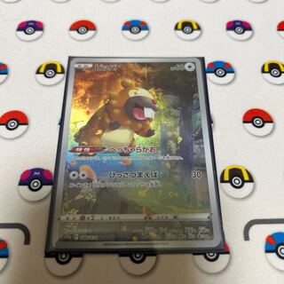 ビッパ AR 204/172 1枚