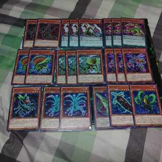 捕食植物　プレデタープランツ　植物族　は行　遊戯王　デッキパーツ