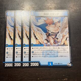 Shellwolf Hotatte C 45/61