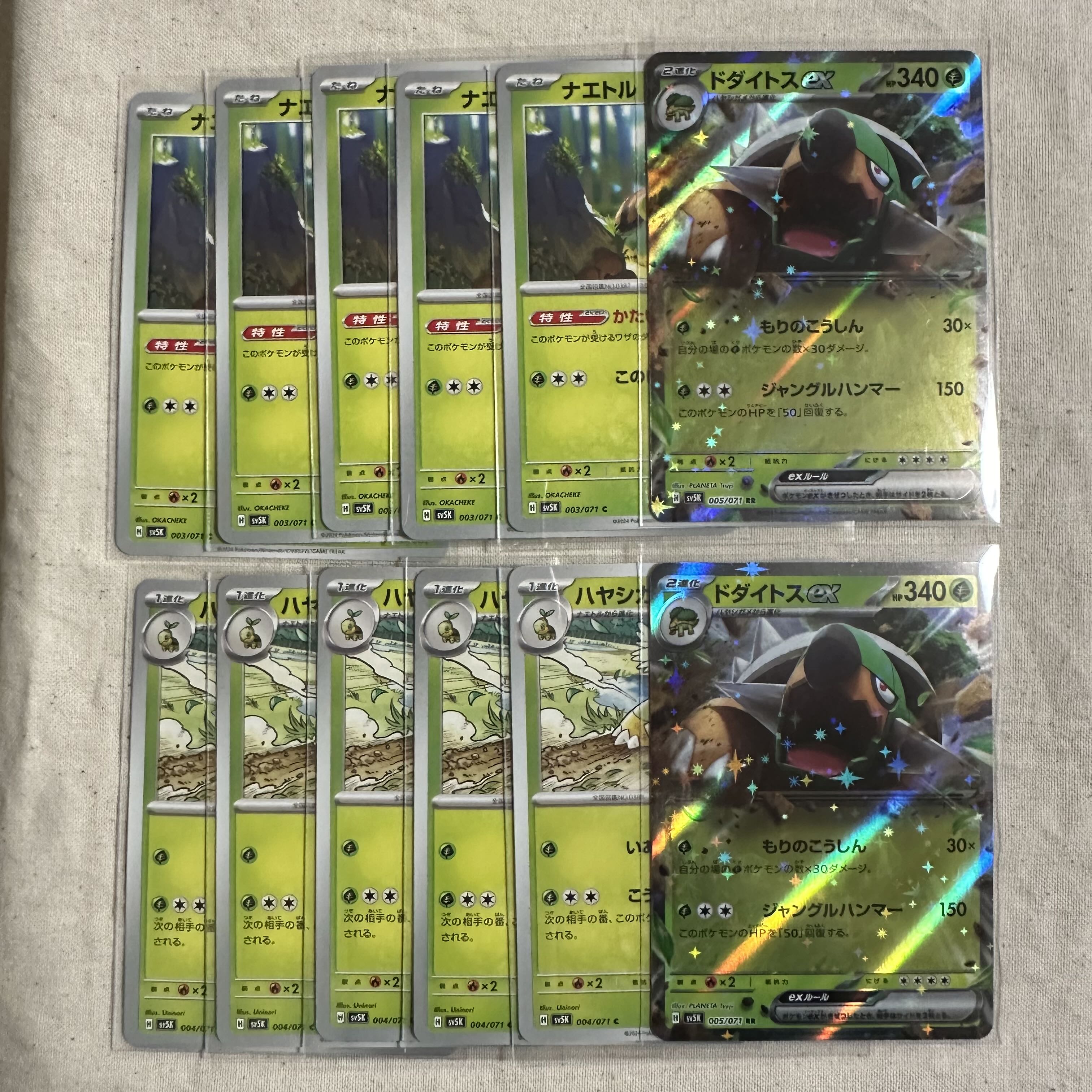 Torterraex RR 005/071