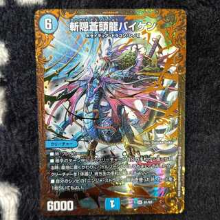 斬隠蒼頭龍バイケン