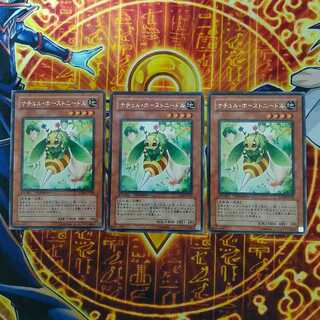 ナチュル・ホーストニードル