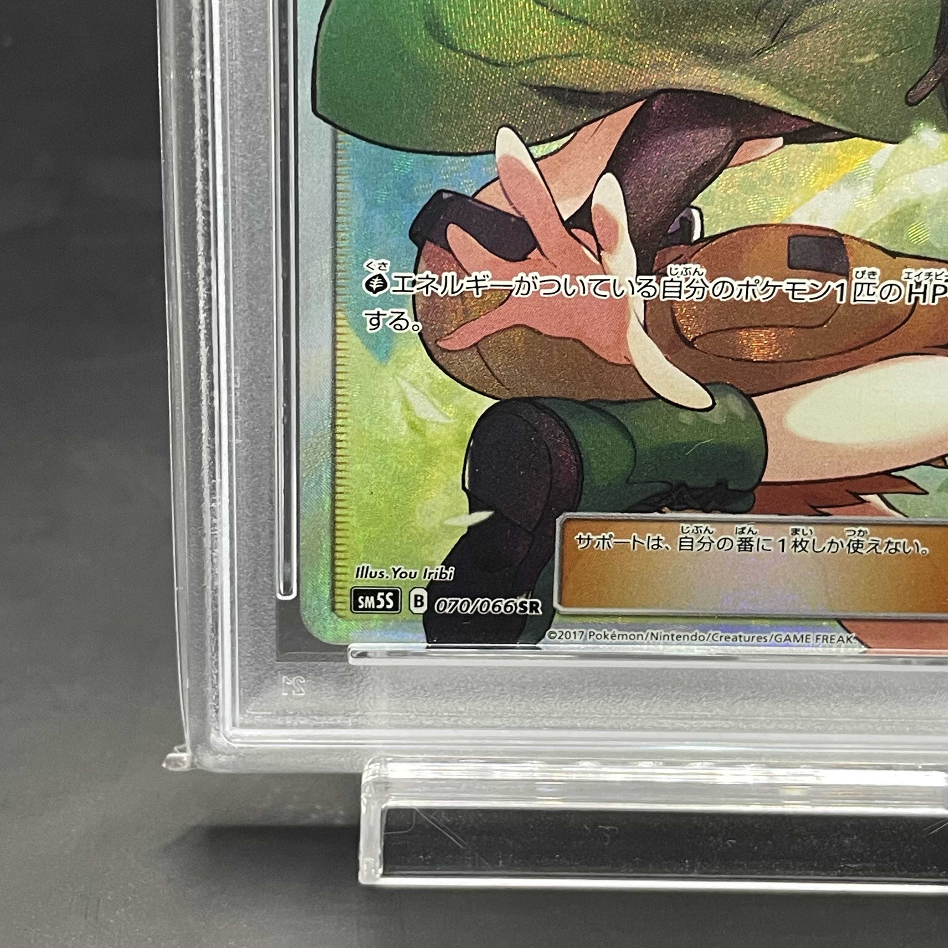 [PSA10] Gardenia SR 070/066