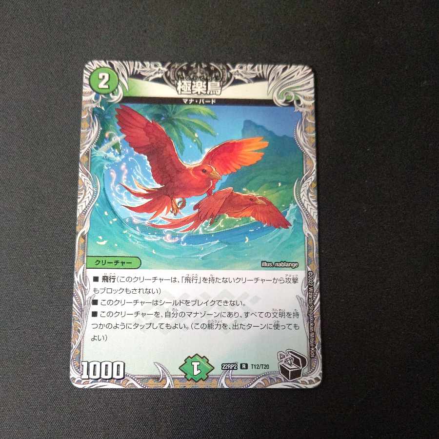 Birds of Paradise (black treasure) R