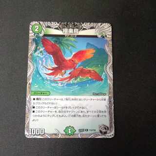 Birds of Paradise (black treasure) R