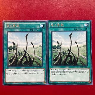 Yu-Gi-Oh! Dragon Shrine [DP17] Rare Character Rare Set of 2