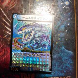 One unit Iwashin U-foil 243/???? 1枚