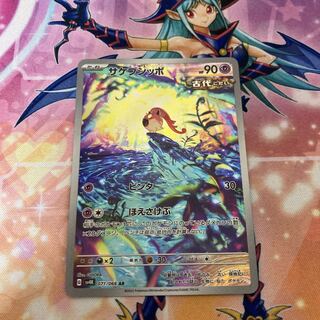 サケブシッポ AR 071/066